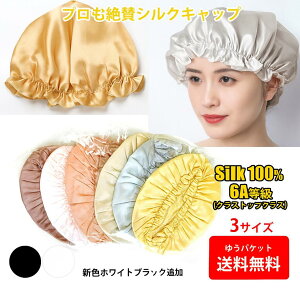 VNLbv VN iCg S^Cv VN100 Xq OwA fB[X zakka200