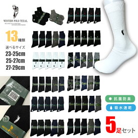 ウエスタン POLO　靴下 ソックス 5足セット Ag消臭 おしゃれ　メッシュ 靴下 ソックス 5足セット メンズ　レディース 通学通勤にワンポイントソックス WESTERN POLO TEXAS 23-29cm zakka84 無地 アーガイル メッシュ　ビジネス対応