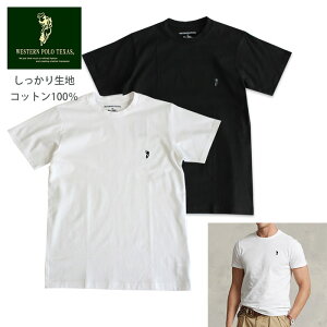 �E�G�X�^��POLO �|�� �����|�C���g ���� T�V���c �����Y �R�b�g��100�� �����ɂ��� T�V���c polo888 �� ��