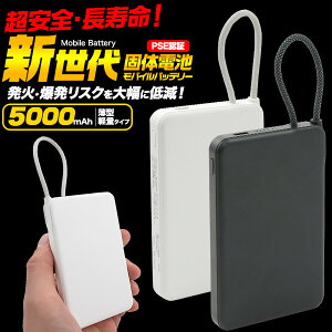 ���{���[�J�[�v���^�� 5000mAh ���o�C���o�b�e���[ ���ő� �y�� ���^ ���^ �ő̓d�r(�ی��H�t��)�@PSE�Z�p��K�� zakka577