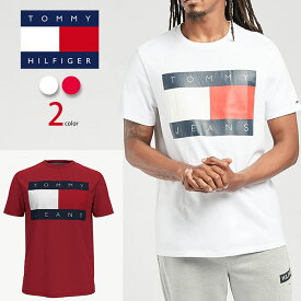 トミー Tシャツ TOMMY HILFIGER メンズ トミーヒルフィガー Tシャツ t610 USAモデル