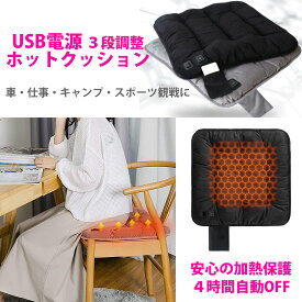 電熱 暖か座布団 クッション USB電源 ヒーター内蔵 軽量　こたつ zakka296