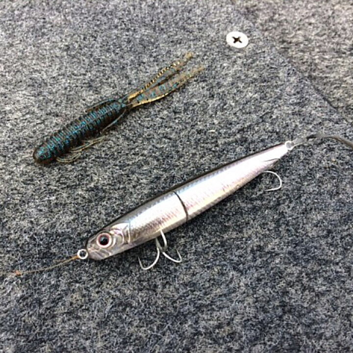 楽天市場 Osp オーエスピー Doliveshrimp ドライブシュリンプ ソフトルアー エビ 疑似餌 釣り フィッシング 4in 32色 7個入り あす楽対応 Surf Snow ５４ｔｉｄｅ