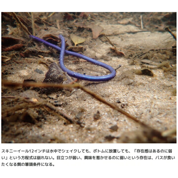 楽天市場】【IMAKATSU】イマカツ Skinny eel Crawler スキニーイール 