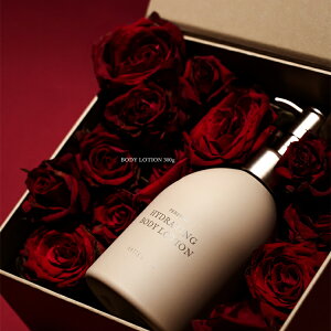 ARTiS di Voce nCh[eBO{fB[V 300g a LO ϕi