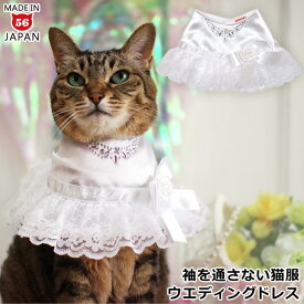ワンタッチコーデ ウエディング気分 ウエディングドレス (31550) ゴロにゃんオリジナル 猫服 ウェディング ねこ ネコ 花嫁 結婚式 ジューンブライド
