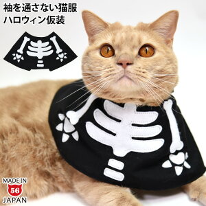 ^b`R[f nEB zlzl}g (34650) SɂIWi L XPg KCRc [  RXv