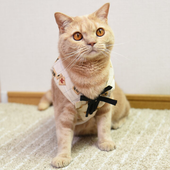 楽天市場】あったか ちゃんちゃんこ 将棋柄 ゴロにゃんオリジナル 猫服 