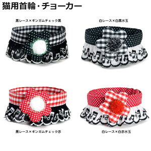 `[J[t Lp ՂՂ킨ԂI