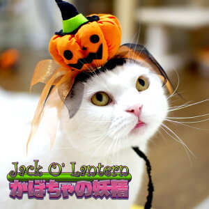 SɂIWi L̔蕨 nEB Jack O Lantern ڂ̗d WbNI[^ WbNEIE^