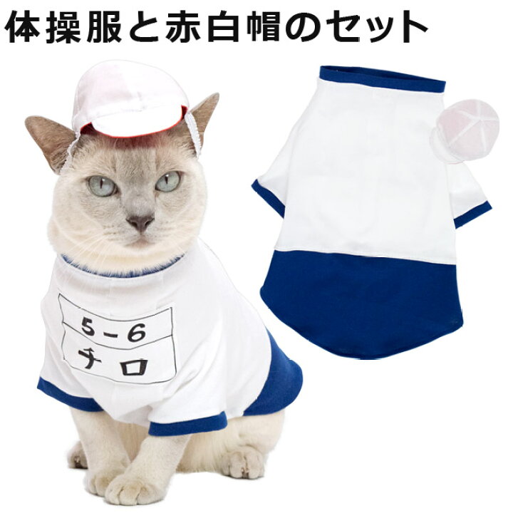 楽天市場】ゴロにゃんオリジナル猫服 体操服と赤白帽のセット ネイビー 