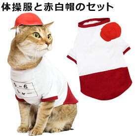 ゴロにゃんオリジナル猫服 体操服と赤白帽のセット エンジ (27300)