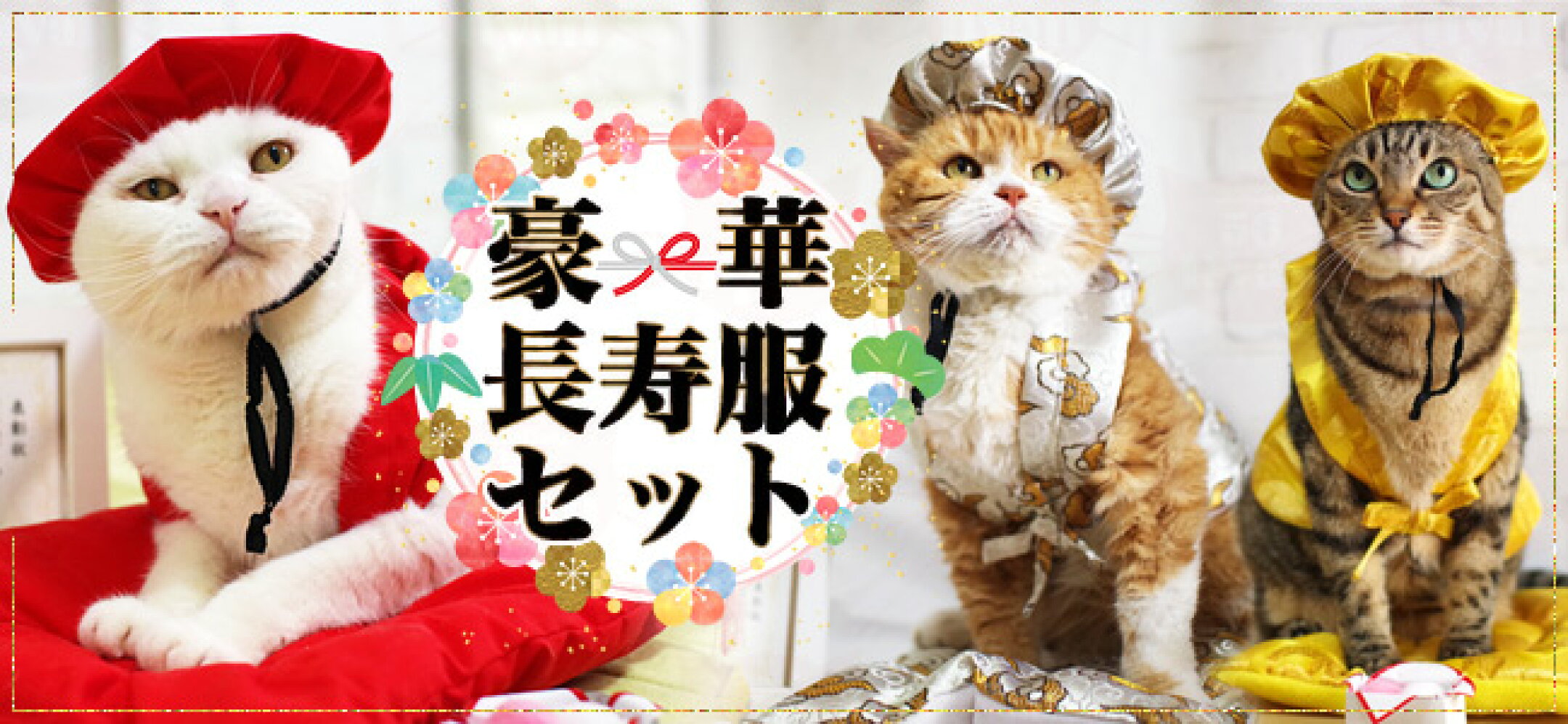 ご長寿のお祝いに！ちゃんちゃんこ等お祝い5点セット