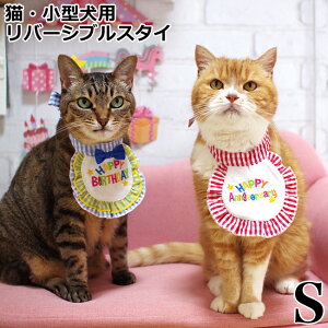 nbs[X^C STCY LE^p LIFELIKE CtCN