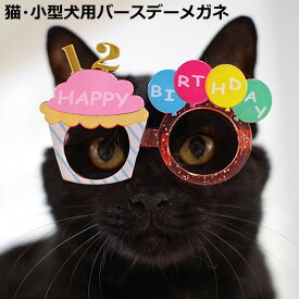 楽天市場 誕生日 ペット ペットグッズ の通販
