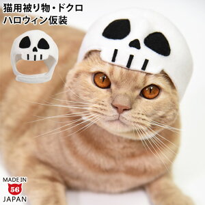 nEB hN (34667) SɂIWi L̔蕨 XPg KCRc [  RXv