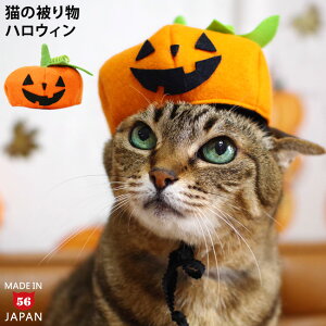 nEB ڂ̃x[X (36333) SɂIWi L̔蕨 nEB[  RXv