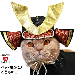 ɂ񐰂  (37033) SɂIWi L̔蕨 ܌l` ǂ̓  JbRCC a a Ԃ Jug