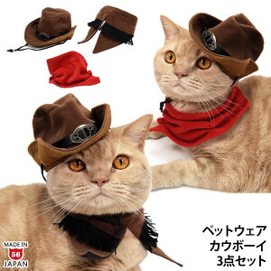 JE{[C3_Zbg Xq X^C XJ[t SɂIWi L  K} RXv EFX^n 킢  RXv