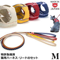 【セット商品】ゴロにゃんオリジナル 猫用ハーネス ダブルブロックタイプ 無地 Mサイズ & リード【特許取…