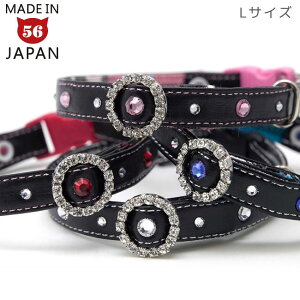 SɂIWi L XdeZuILƂ LTCY v() Lp