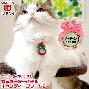 L̖qDySɂIWiLpqD(l[^O) LfB[v[g 2zZ~I[_[ Lp lRp ˂p^Lbg^O q L ЊQ΍ h y y 炩 