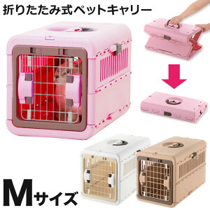 b`F LsOL[ ܂肽 MTCY