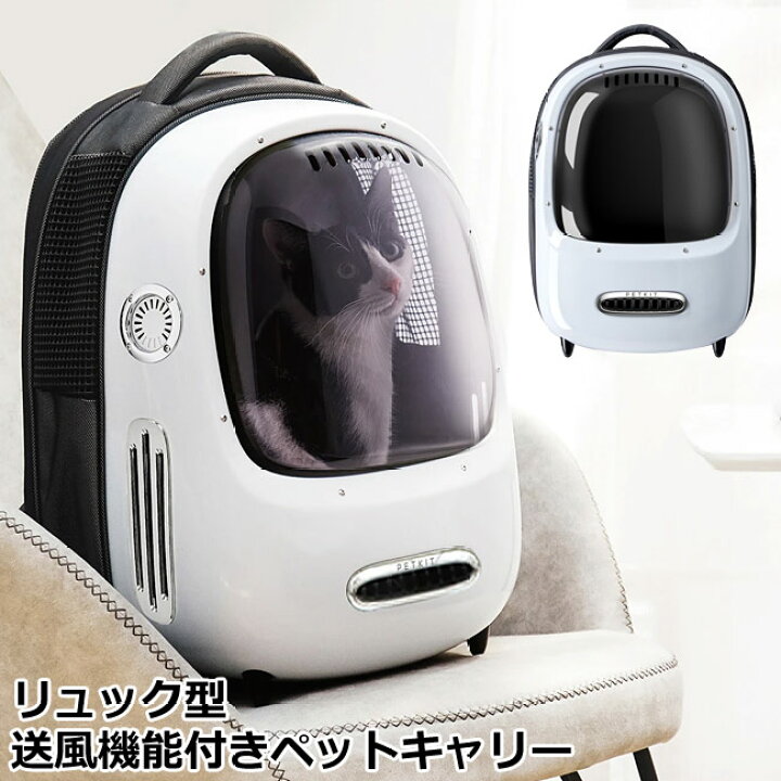 441円 最旬トレンドパンツ 猫と犬のキャリア ポータブル折りたたみ式ソフトエッジペットキャリア S 赤 441円 最旬トレンドパンツ 猫と犬のキャリア ポータブル折りたたみ式ソフトエッジペットキャリア S 赤