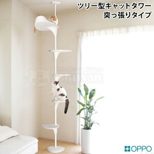 OPPO CatForest2 LbgtHXg2 zCg (04344) Cat Forest-2 LbgtHXgc[ {̃Zbg oPbgVFtt LpV Lbg^[ ˂^Cv  CeA Vv