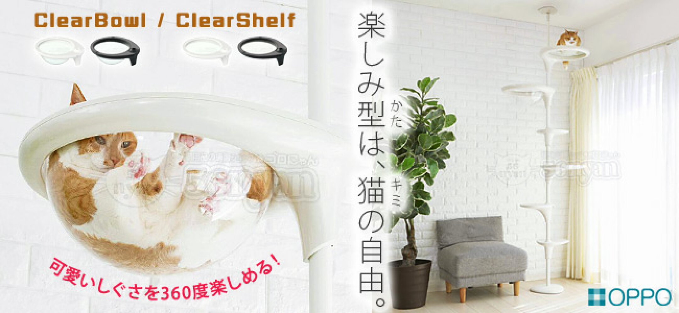 キャットフォレスト クリア仕様オプション