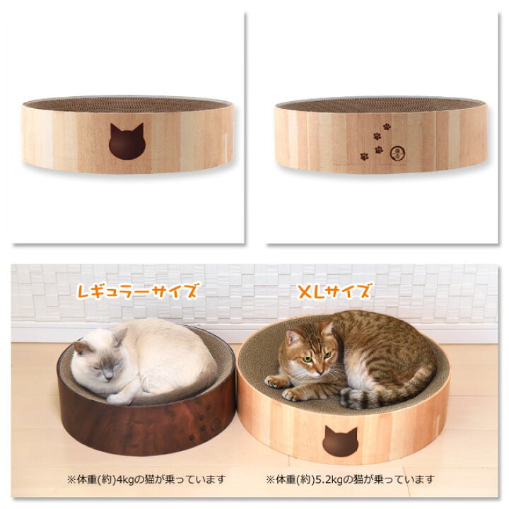 楽天市場】猫壱 バリバリボウル XL (67037) DC-0866 : 猫用品のゴロにゃん 楽天市場店