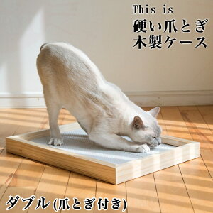 This is d܂ƂؐP[X ܂Ƃt _u (27553) SɂIWi {