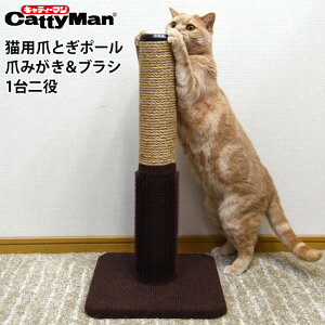 LeB[} _[ ˂܂݂|[ (79254) Lp ܂Ƃ O[~O uV gݗĎ RpNg