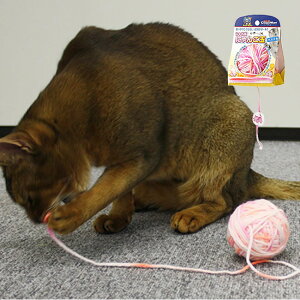 LeB[} Lɂ񂱋(pXe) Lp炵