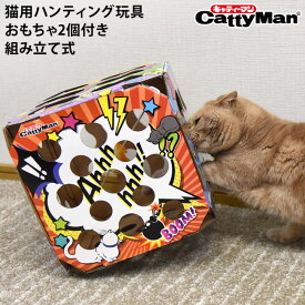 キャティーマン 猫ちゃんテンション爆アゲBOX (45280) 猫用おもちゃ ハンティング ボックス チラ見え