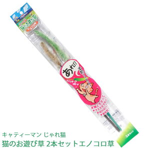 LeB[} L L̂Vё GmR2{ZbgLp炵(44078)