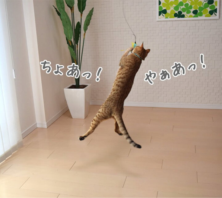 楽天市場】キャティーマン じゃれ猫 猫のお好みじゃらし 竿セット 猫用 