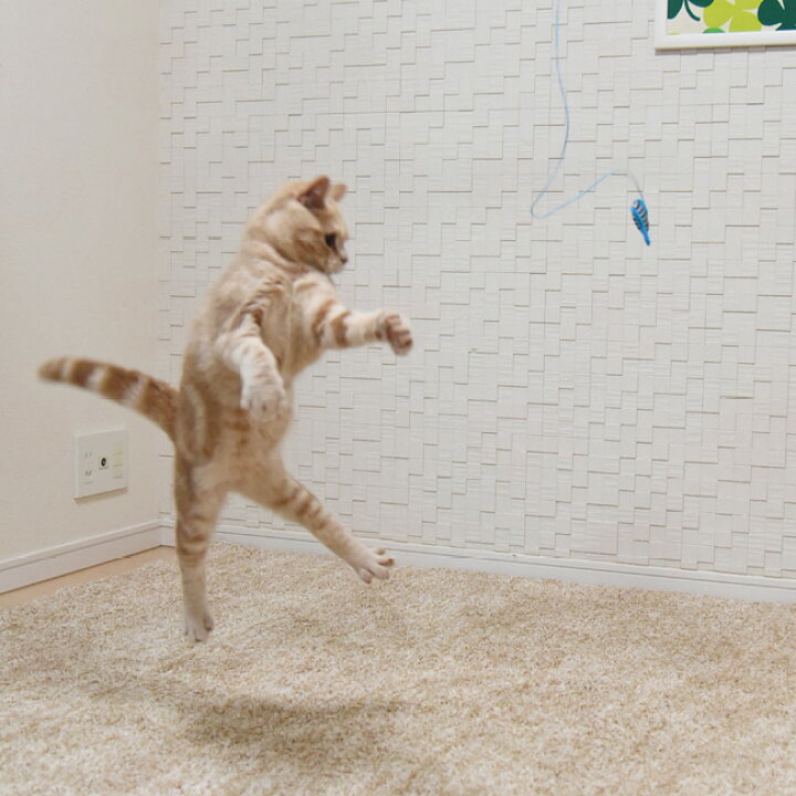 ゴロにゃんオリジナル 猫用おもちゃ とびつくにゃんじゃらし お魚シリーズ 猫じゃらし キャットトイ 猫用品のゴロにゃん ゴロにゃんオリジナル猫じゃらし 指してあそ棒 (26617)