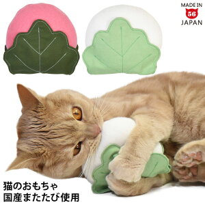 Lp aَq   Y܂ ybggC LbggC ʂ   ǂ̓ Ԍ SɂIWi