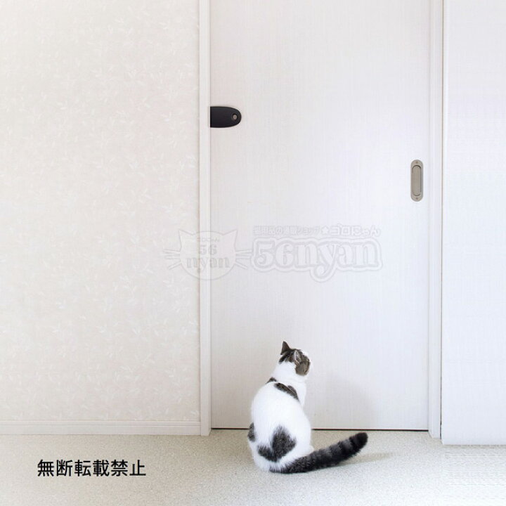 楽天市場】OPPO(オッポ) SlideLock (スライドロック) ドアストッパー ブラック / ホワイト【メール便(日本郵便)可能】 : 猫用品のゴロにゃん 楽天市場店 楽天市場】OPPO(オッポ) SlideLock (スライドロック) ドアストッパー ブラック / ホワイト【メール便(日本郵便)可能】 : 猫用品のゴロにゃん 楽天市場店