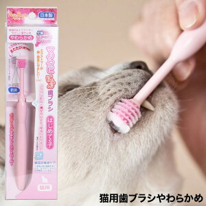 ybc[g }^^rɂ񎕃uV (63490) Lp n~KL  ݂ f^PA L\h oPA