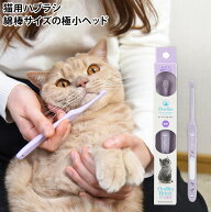 OraBio オーラバイオブラシ 猫用 歯ブラシ 歯磨き ハミガキ 超極小ヘッド 綿棒サイズ (80613)