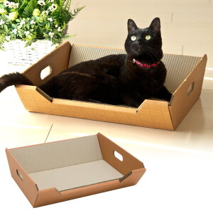 Lp܂Ƃ SɂIWi XNb`xbh`_{[̃fNfNSnI