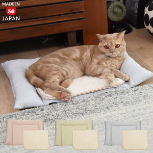 cocochi ココチ ここち 防水シーツつき ゴロにゃんオリジナル 介護用ベッド 段差なし バリアフリー 猫 犬 ペット マット シニア やわらかい 縁付き 寝心地