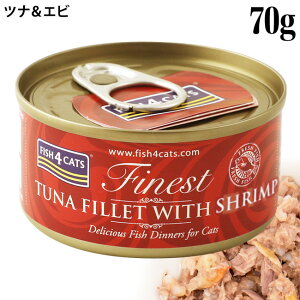 tBbV4Lbg EFbgt[h L ci&Gr 70g (29572)