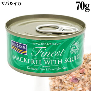 tBbV4Lbg EFbgt[h L To&CJ 70g (06941)