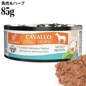 EQUILIBRIA GNCuA n&n[u 85g (02310) L EFbgt[h