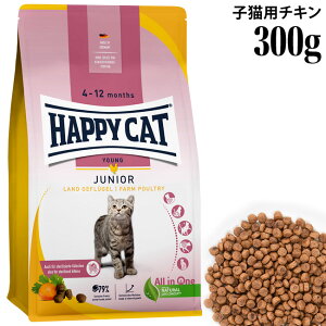 HAPPY CAT nbs[Lbg qLp WjA t@[|g[(`L) 300g (39945) (Xv[ WjA)