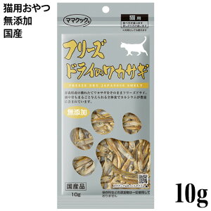 }}NbN t[YhC̃JTM 10g (74177) Y킩 Lp  g[c Y  gbsO