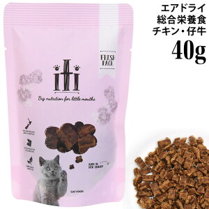 iti CeB Lbg `LB[(e) fBi[ p40g (15132) GAhCt[h